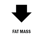 Fat Mass