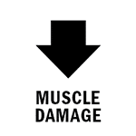 Muscle Damage